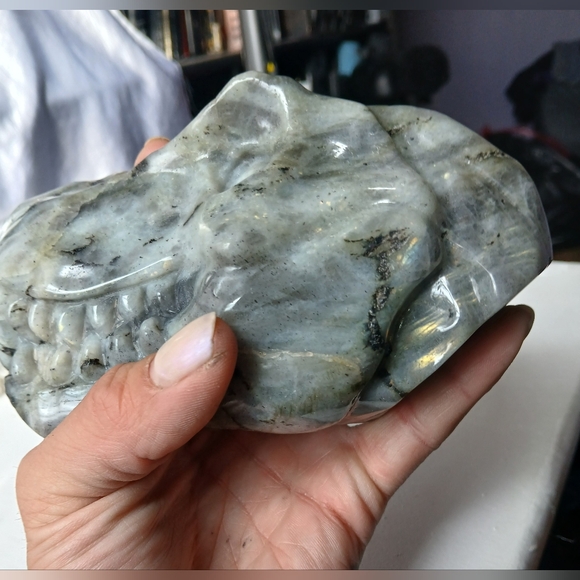 LARGE LABRADORITE T-REX CRYSTAL SKULL - Picture 5 of 6